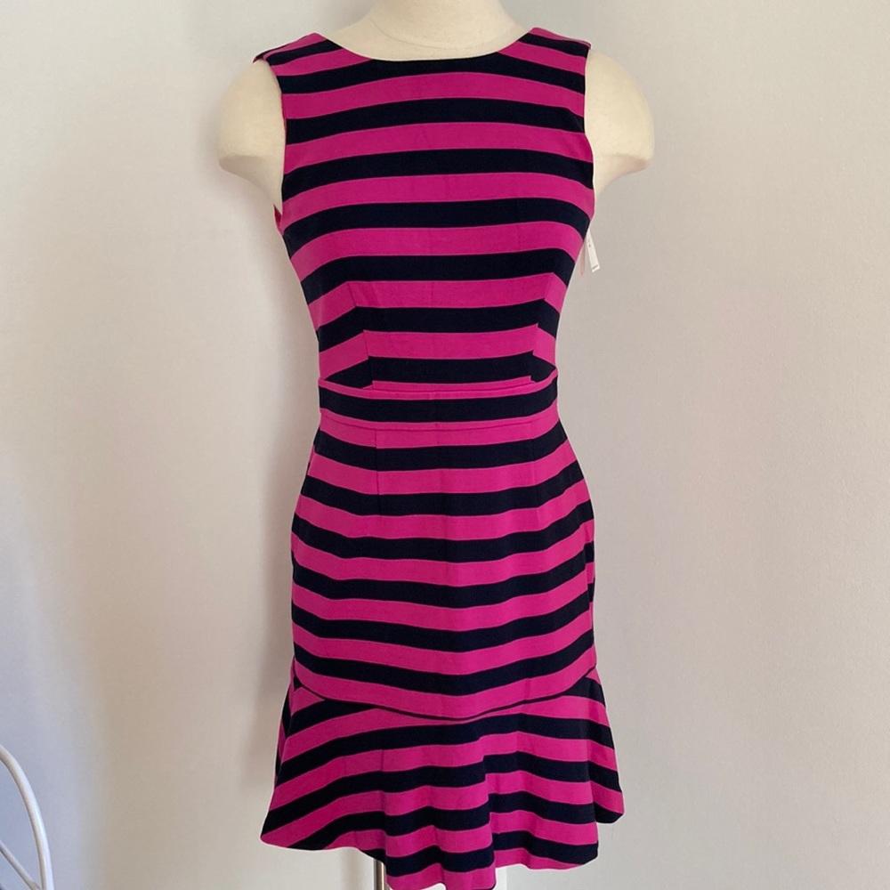 NWT Banana Republic Pink and Black Striped Sleeveless Dress